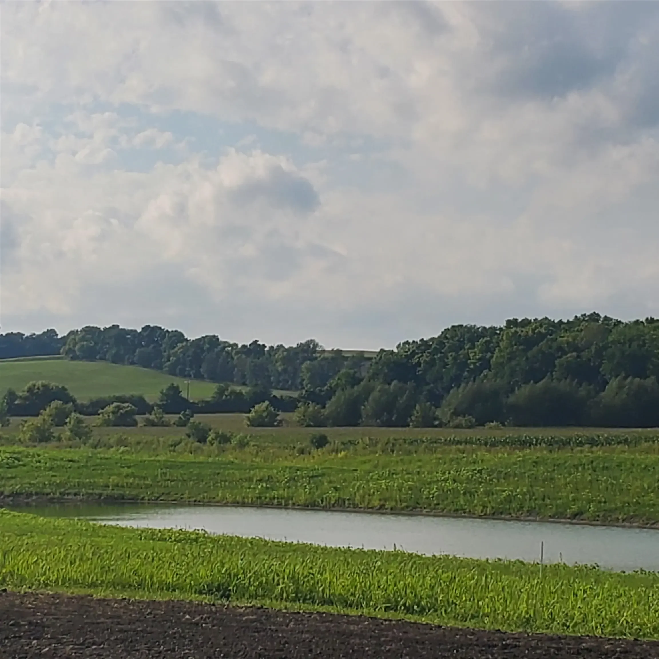 Photo of Listing #1960936