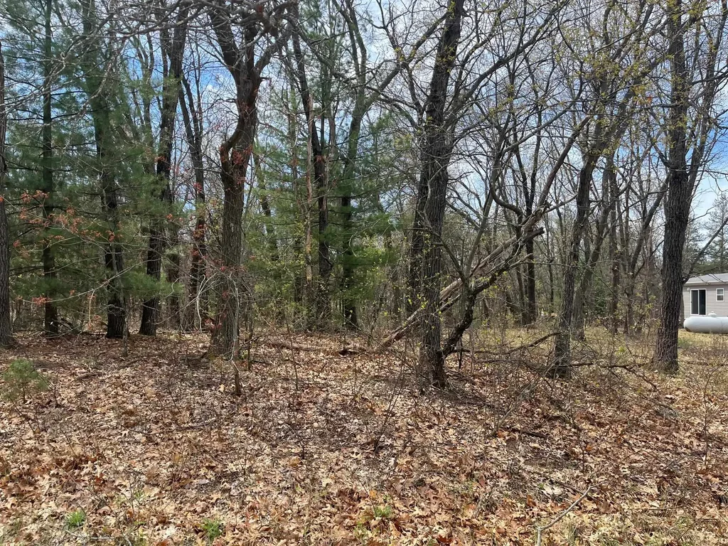 L39 S Duck Creek Avenue, Adams