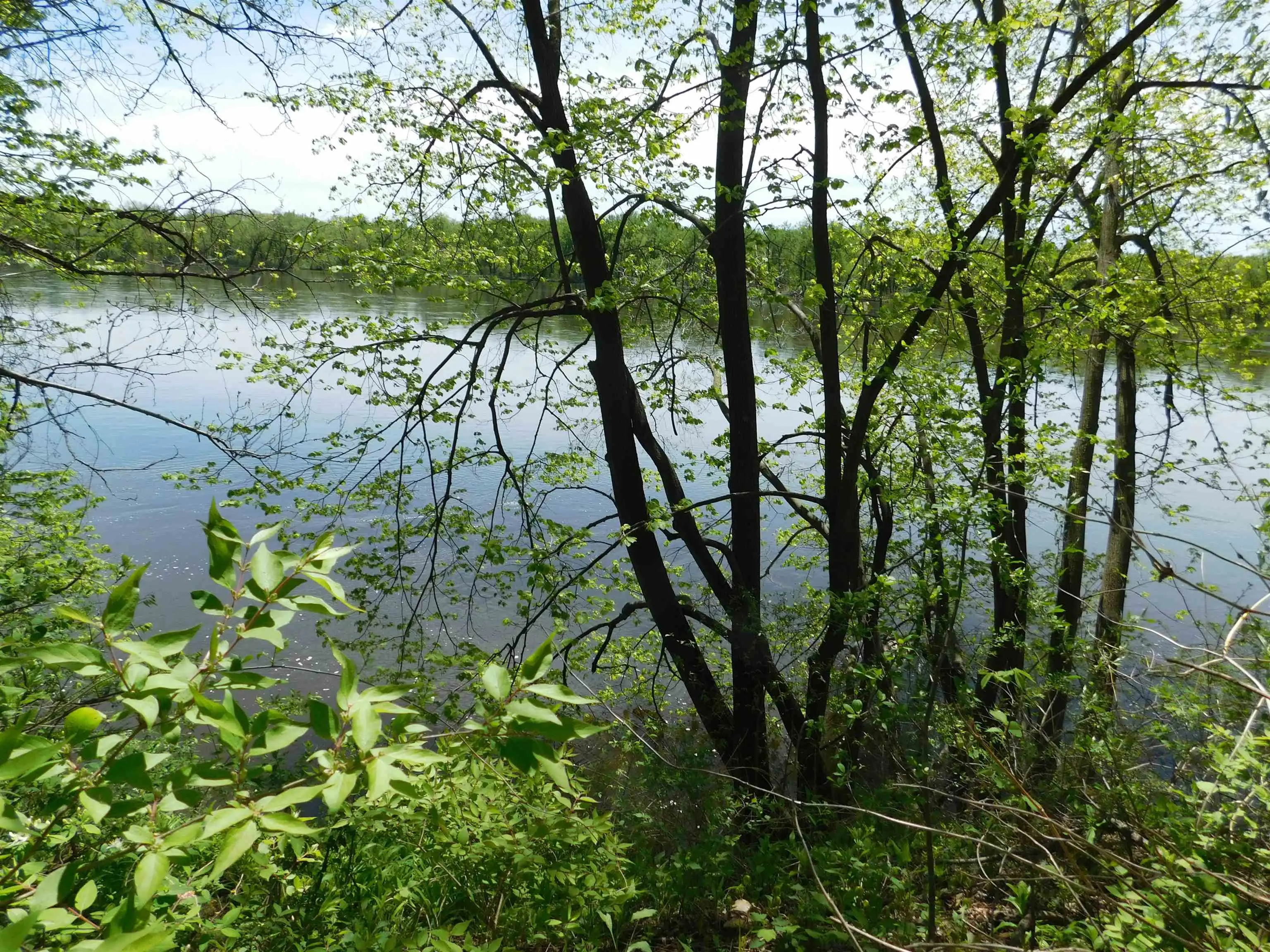 Photo of Listing #1976637