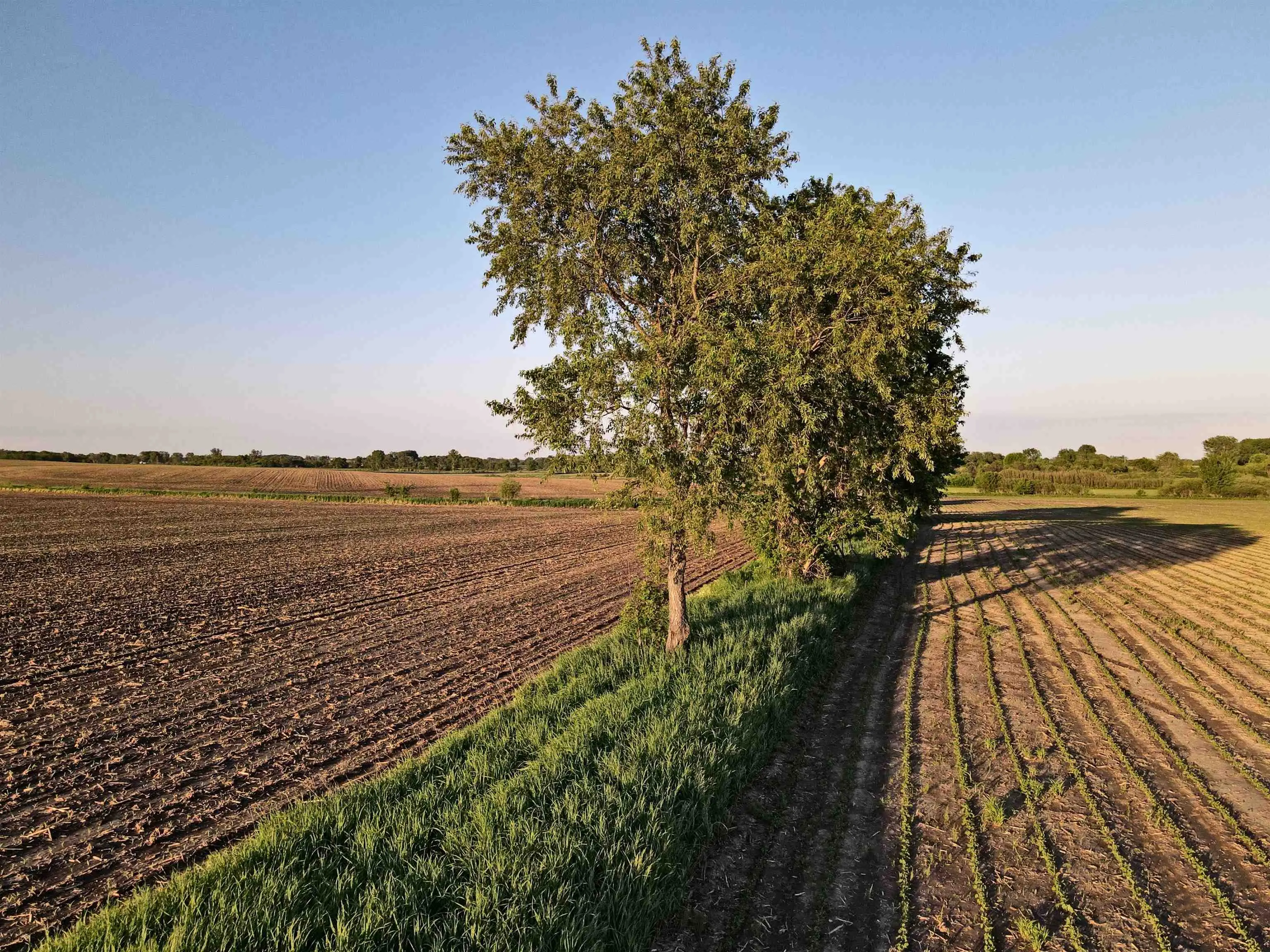 Photo of Listing #1977775