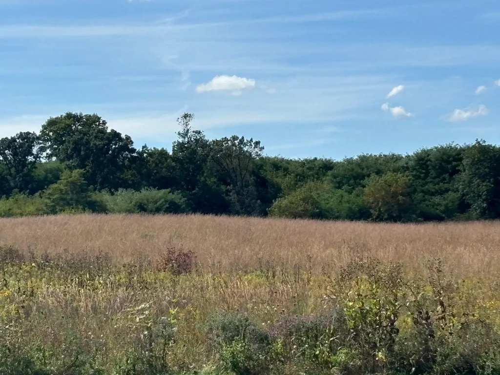 5231 Blazingstar Lane, Fitchburg