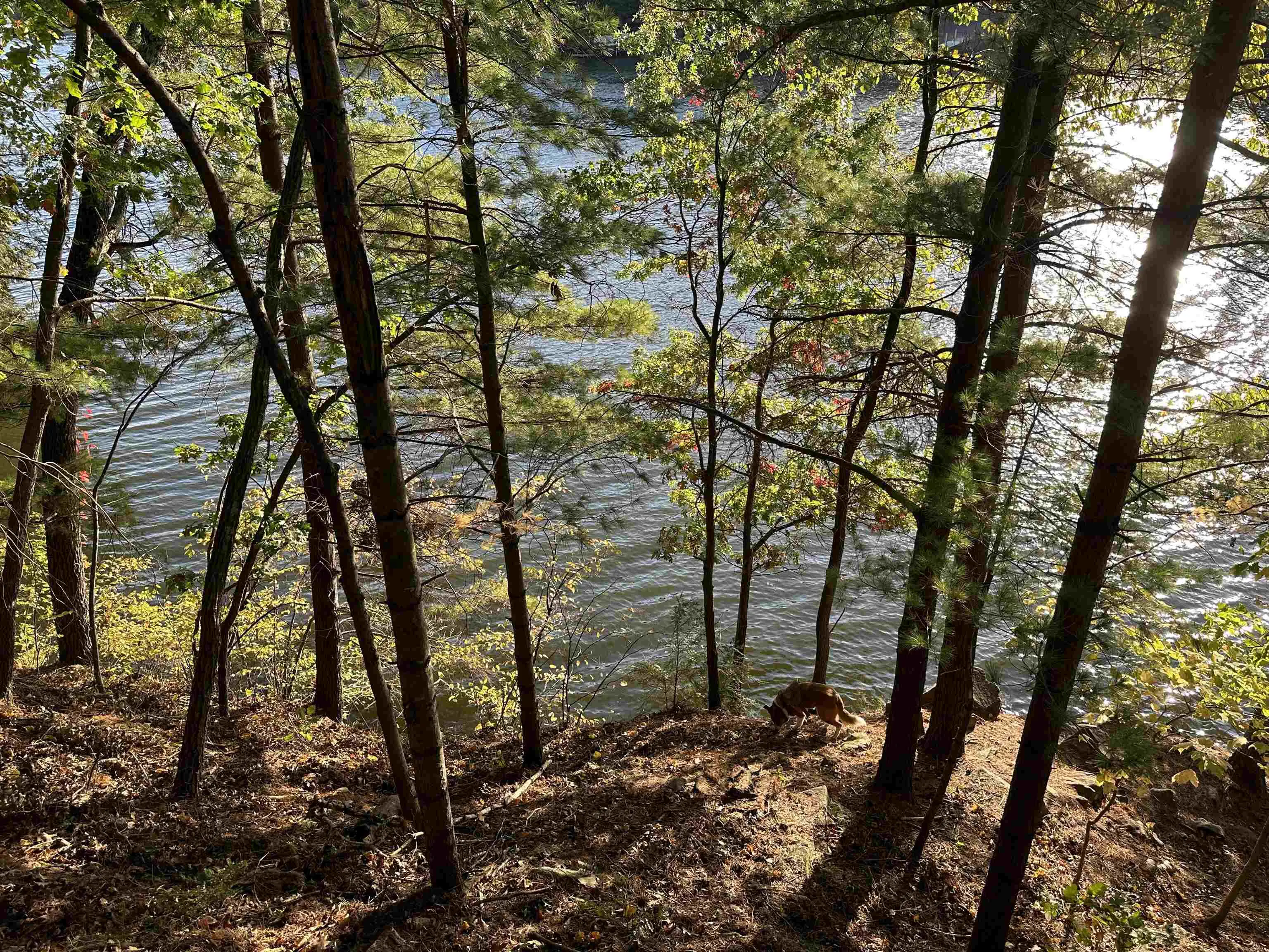 Photo of Listing #1995473