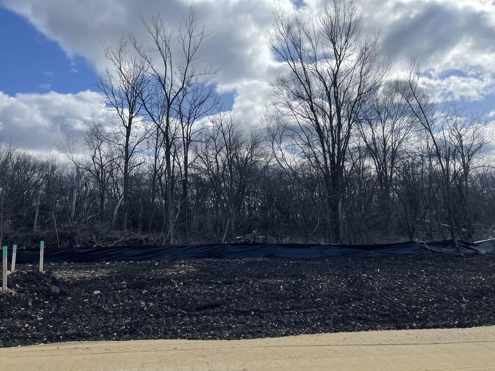 Photo of Listing #1996869