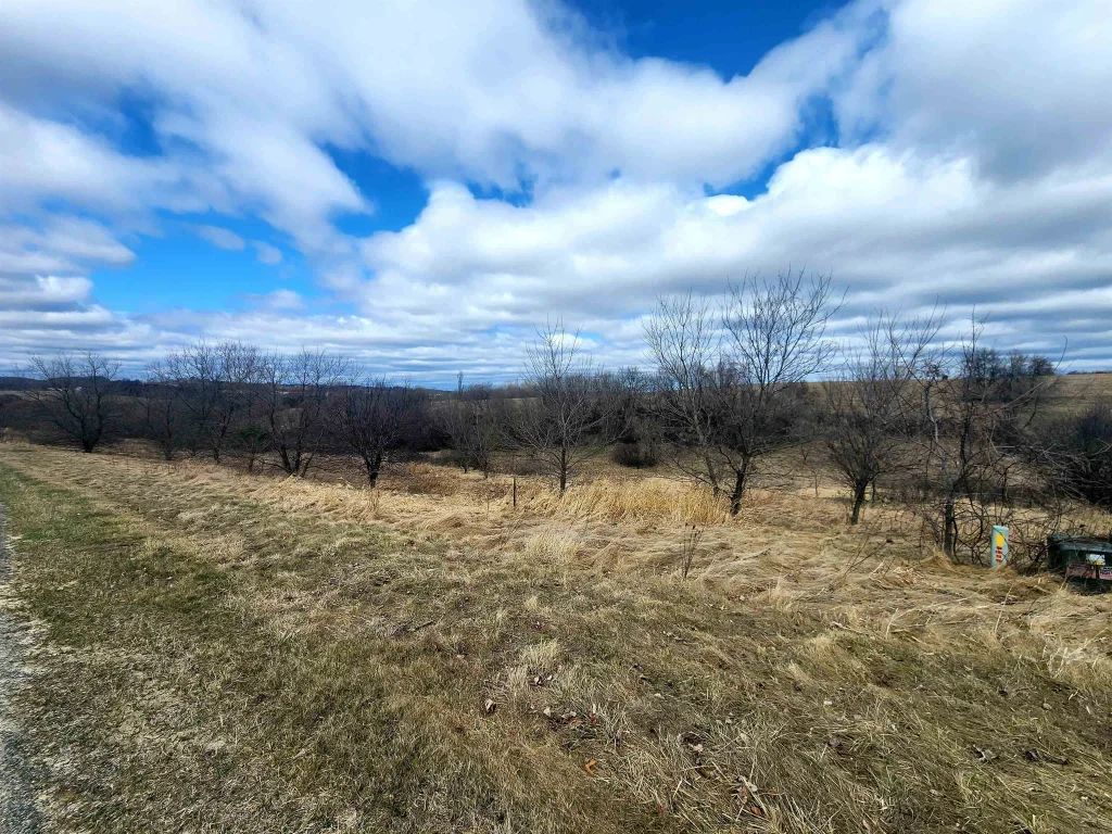 Lot 2 Honeycut Avenue, Tomah