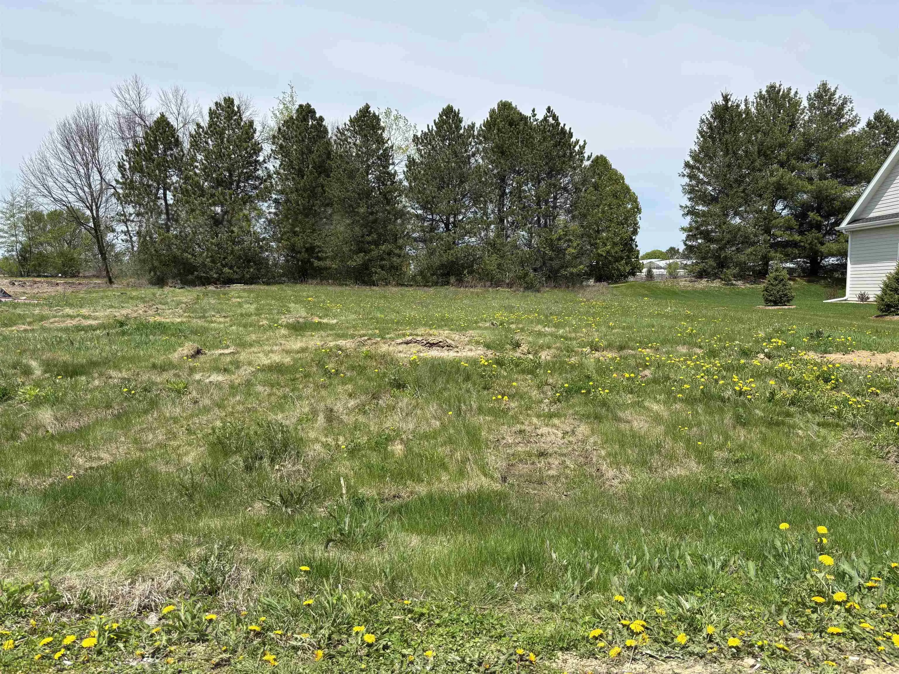 Photo of Listing #1998260