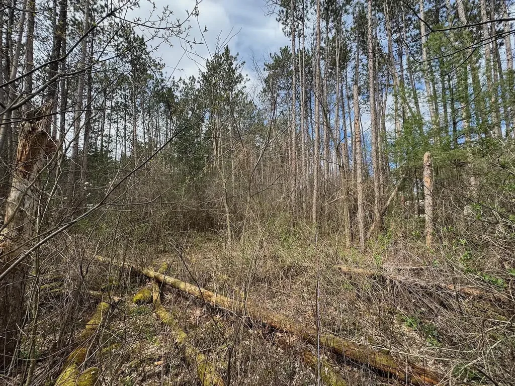 000 Sportsman Drive, Muscoda