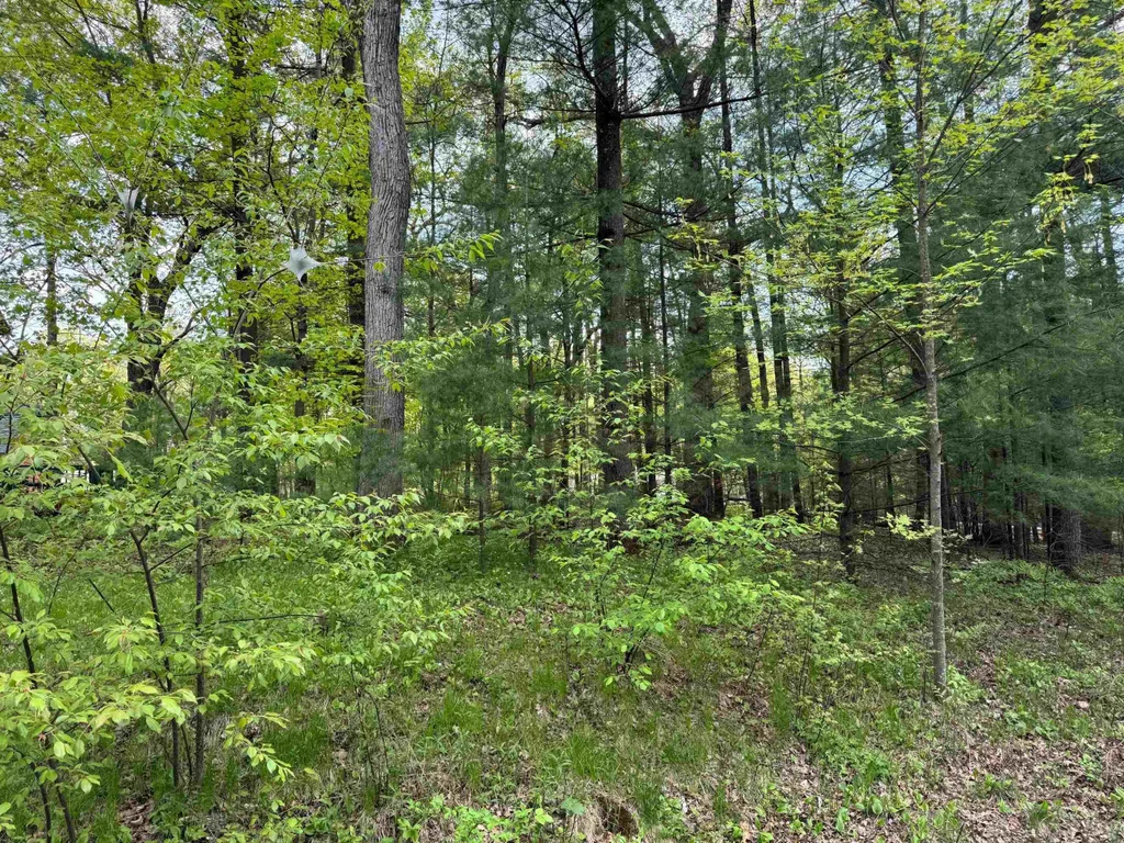 140 Ridge Drive, Lake Delton