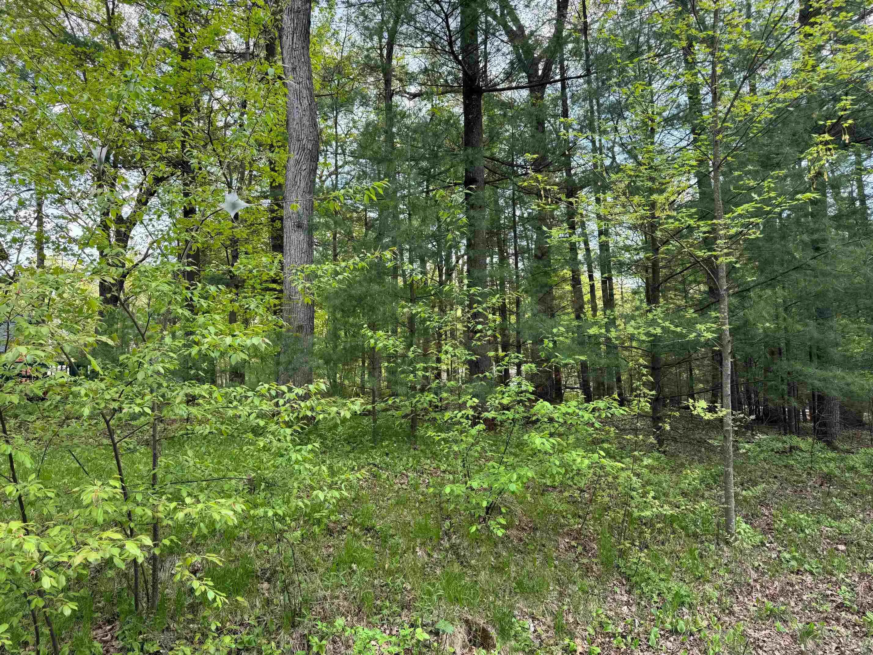 Photo of Listing #1999802