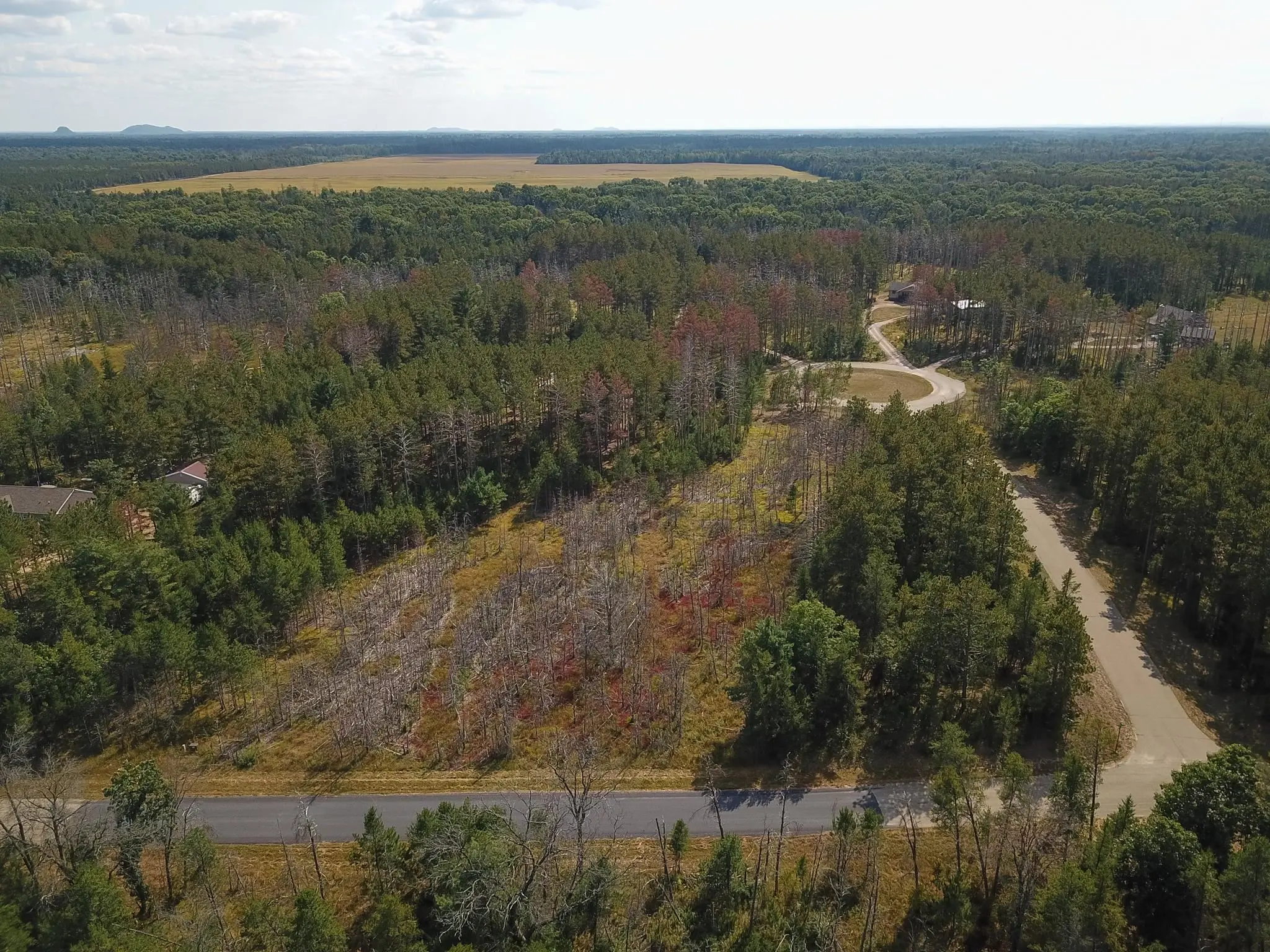 Photo of Listing #2000884