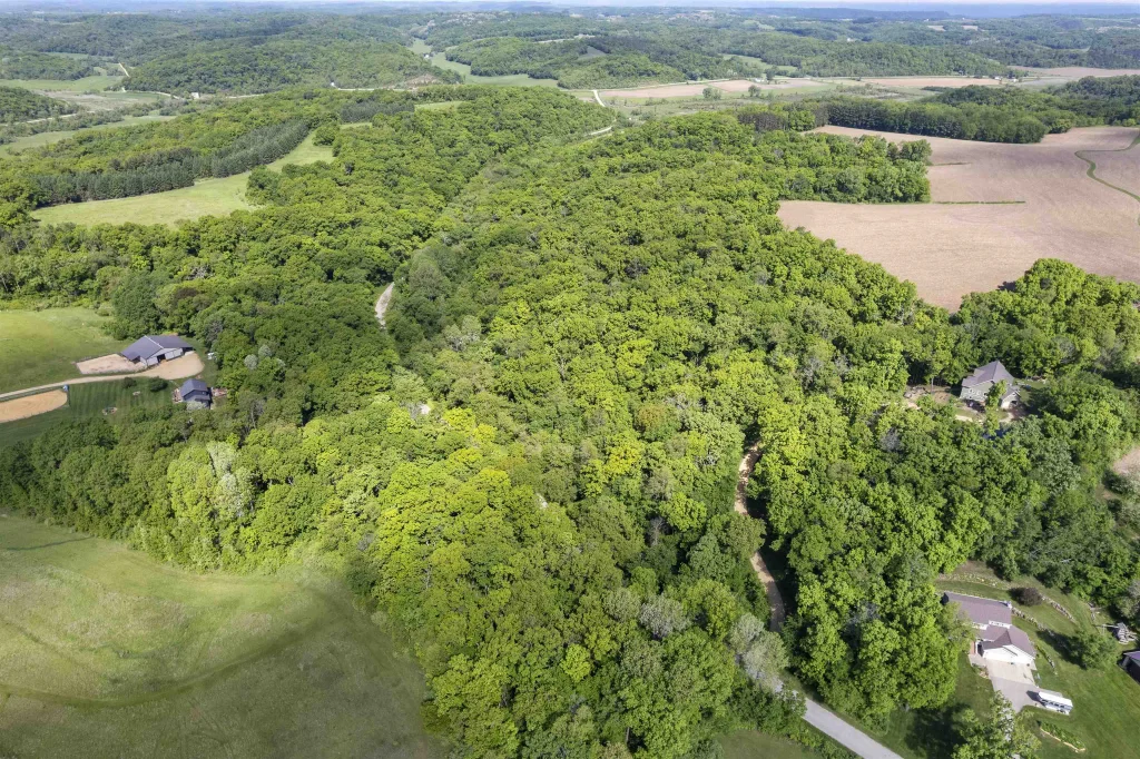 33.44 Acres Zwettler Road, Arena