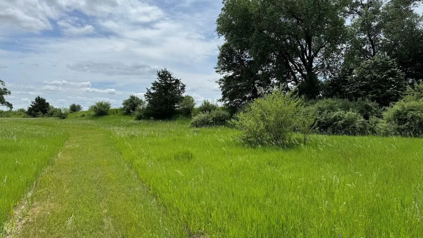 Photo of Listing #2002571