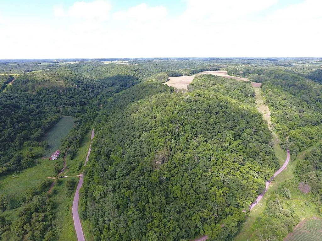 46113 Sand Creek Road, Clayton