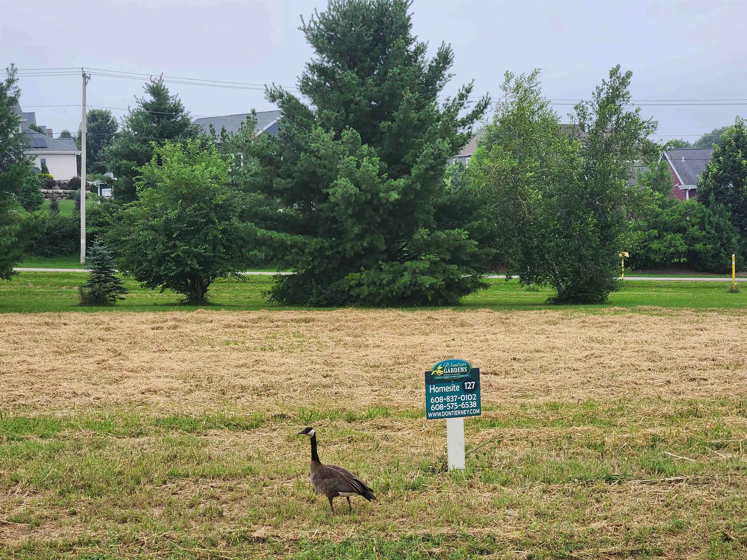 Photo of Listing #2005202