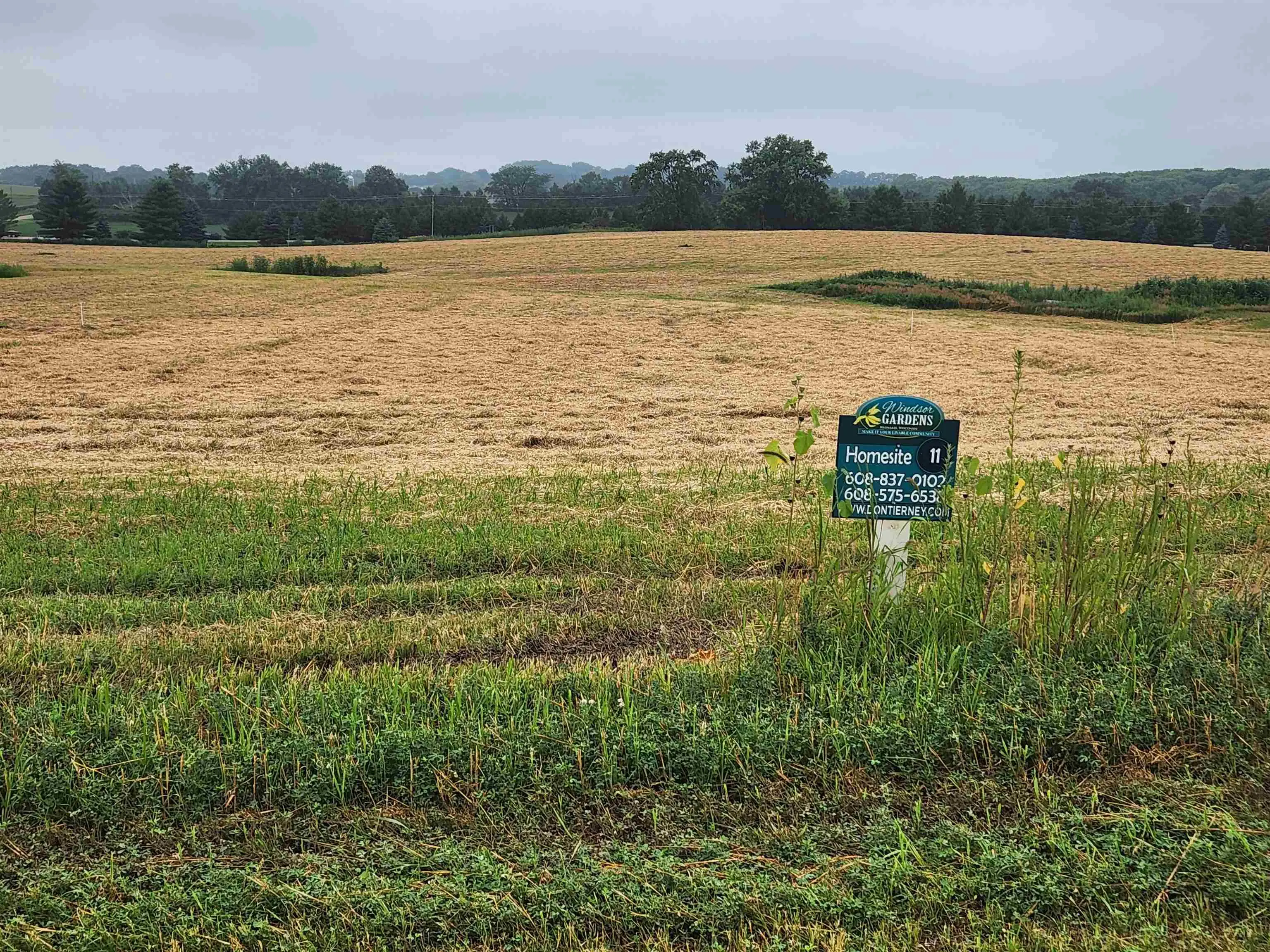 Photo of Listing #2005205