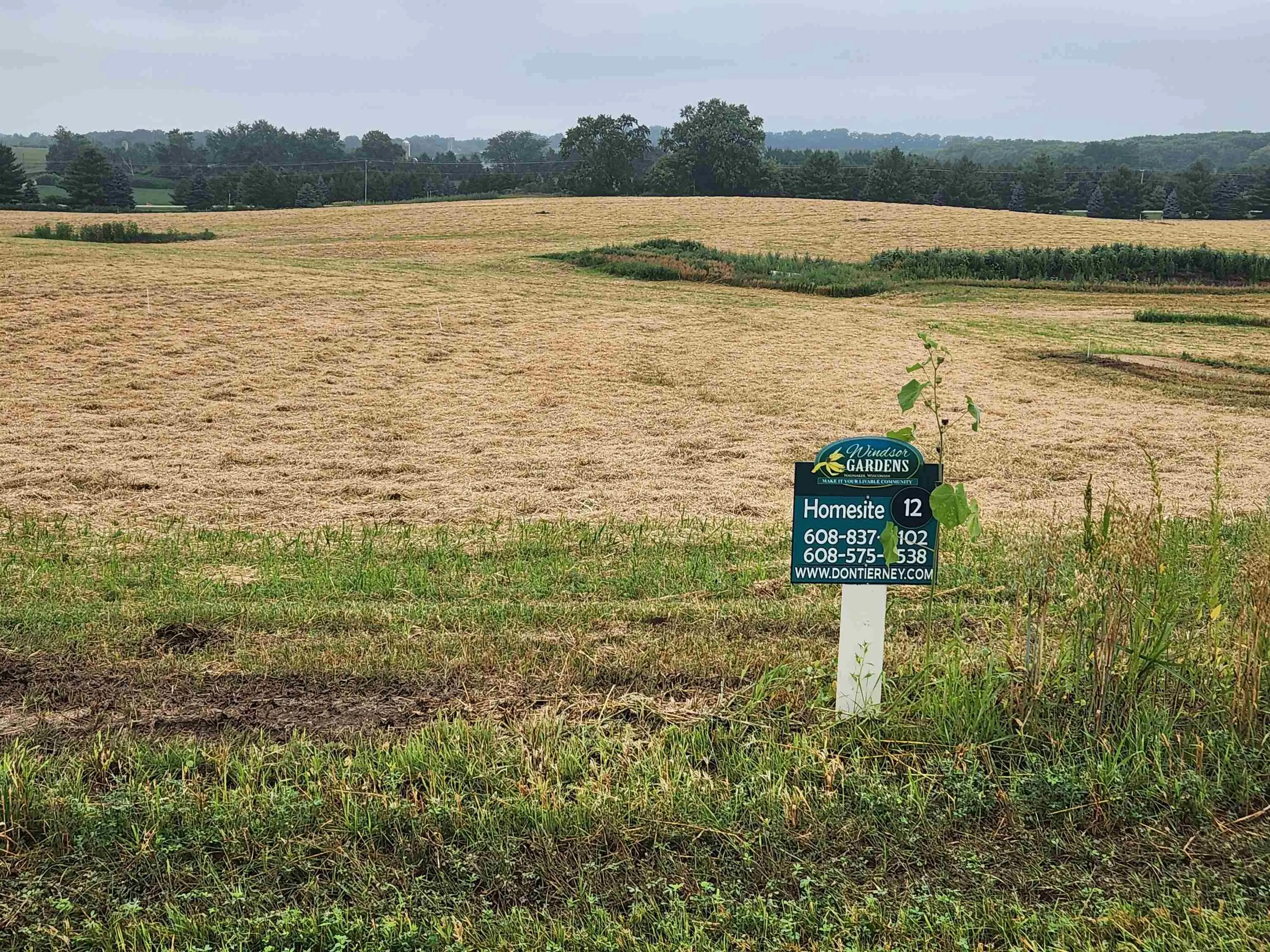 Photo of Listing #2005206