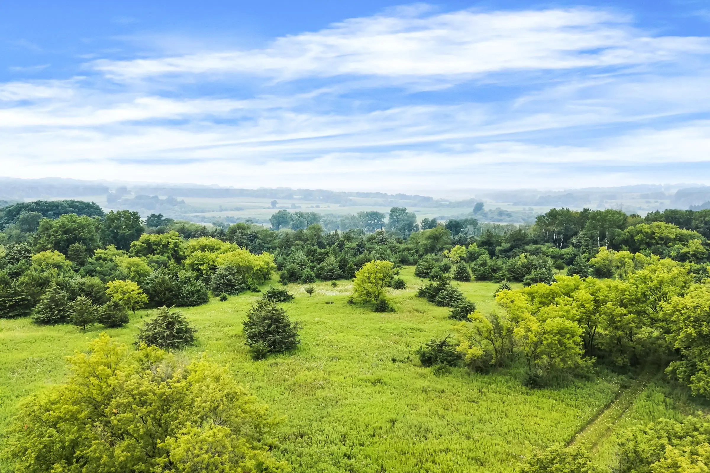 Photo of Listing #2005602