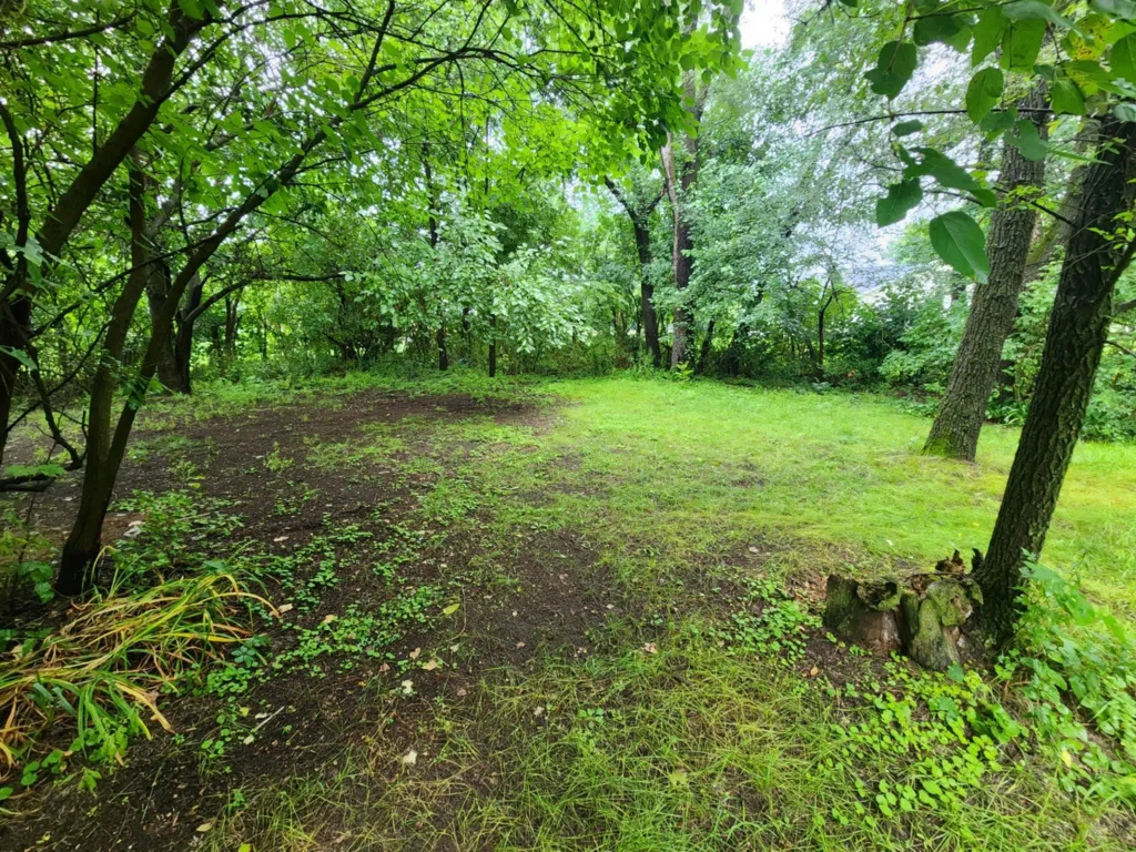 109 S 7th Street, Avoca