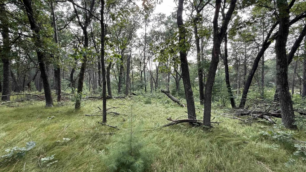 W2047 County Road N, Lyndon