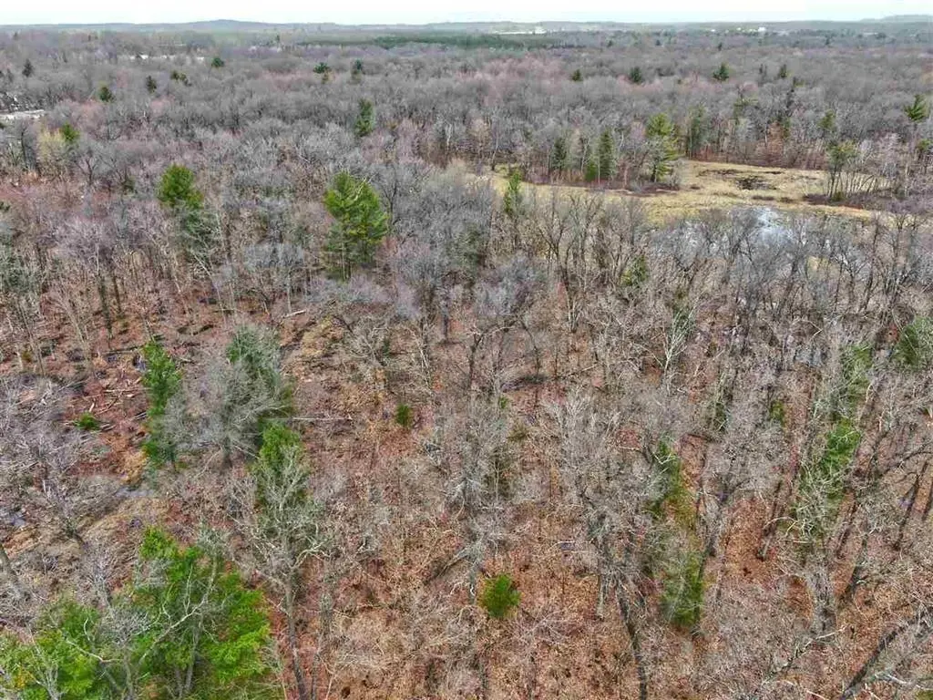 E9976 Trout Road, Delton