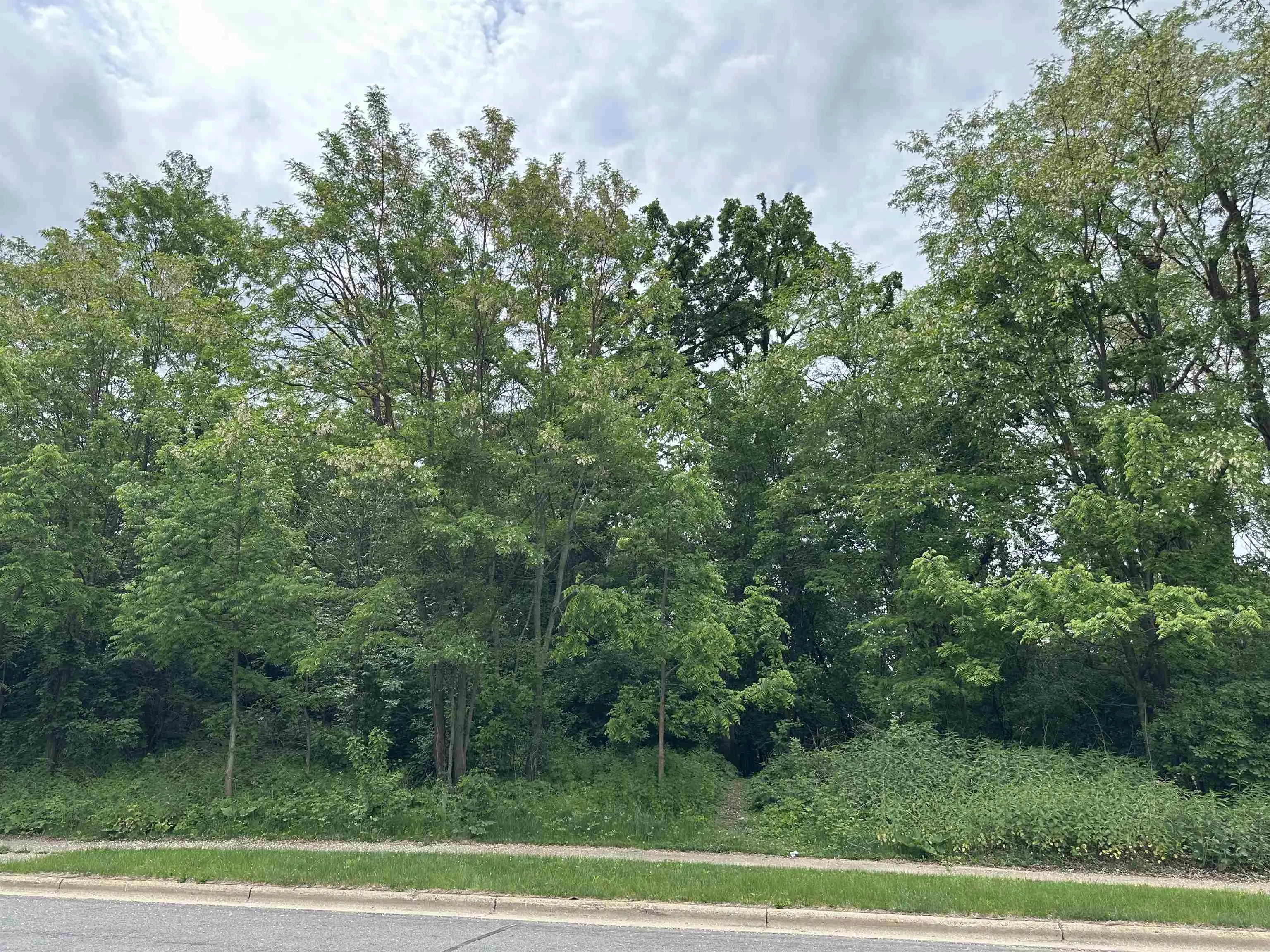 Photo of Listing #2006814