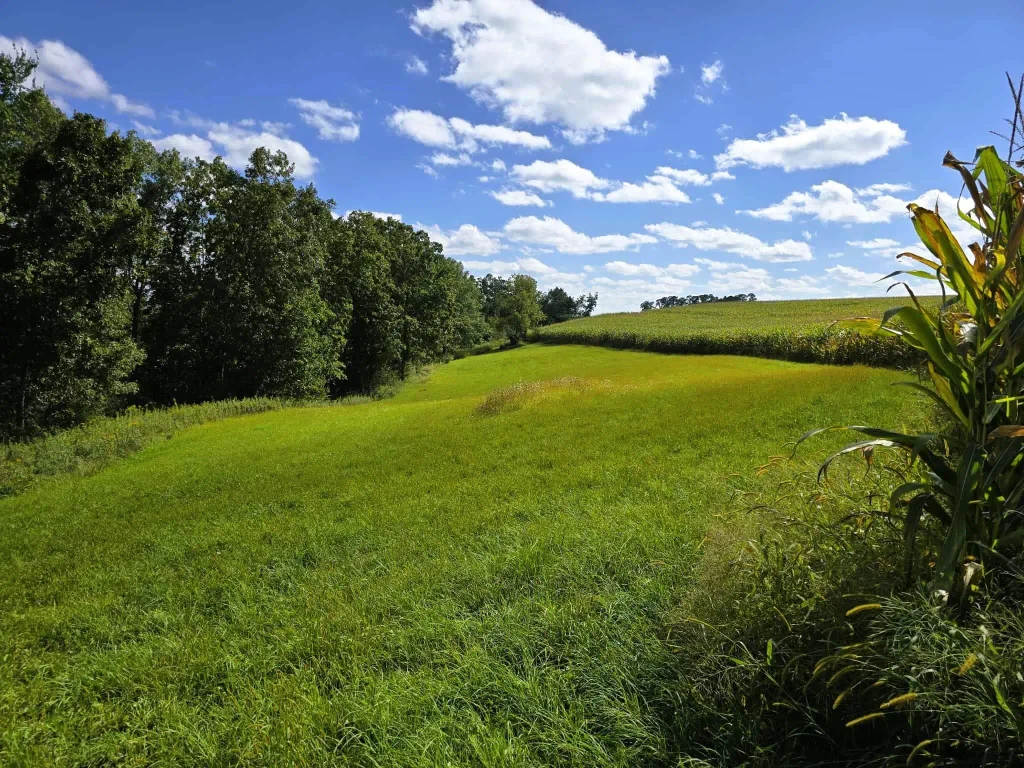 17 Acres +/- Sherry Ridge Road, Utica