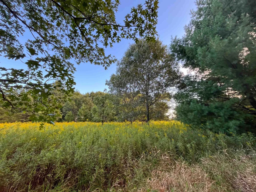 N4849 3rd Avenue, Oxford