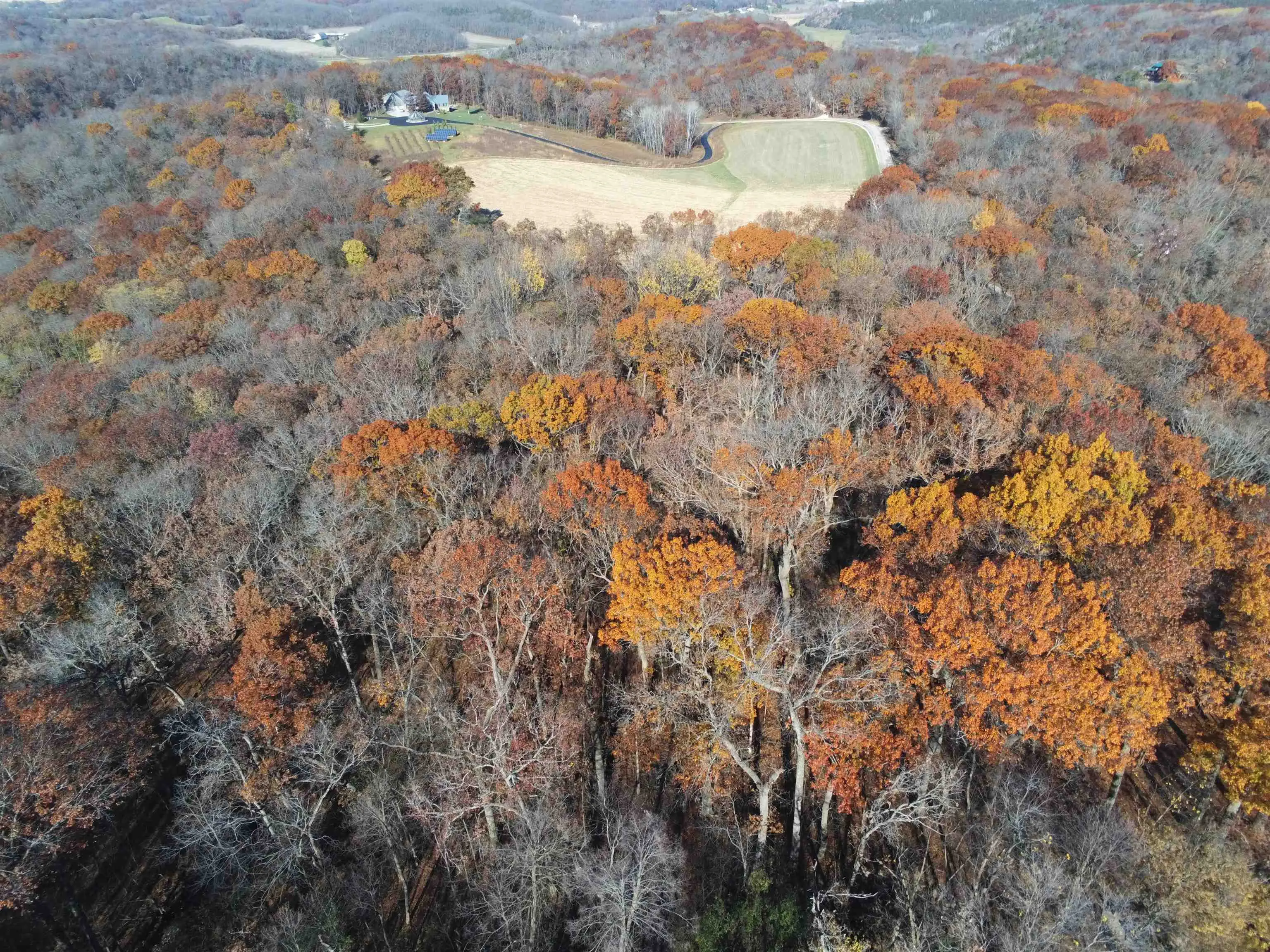 Photo of Listing #2008221