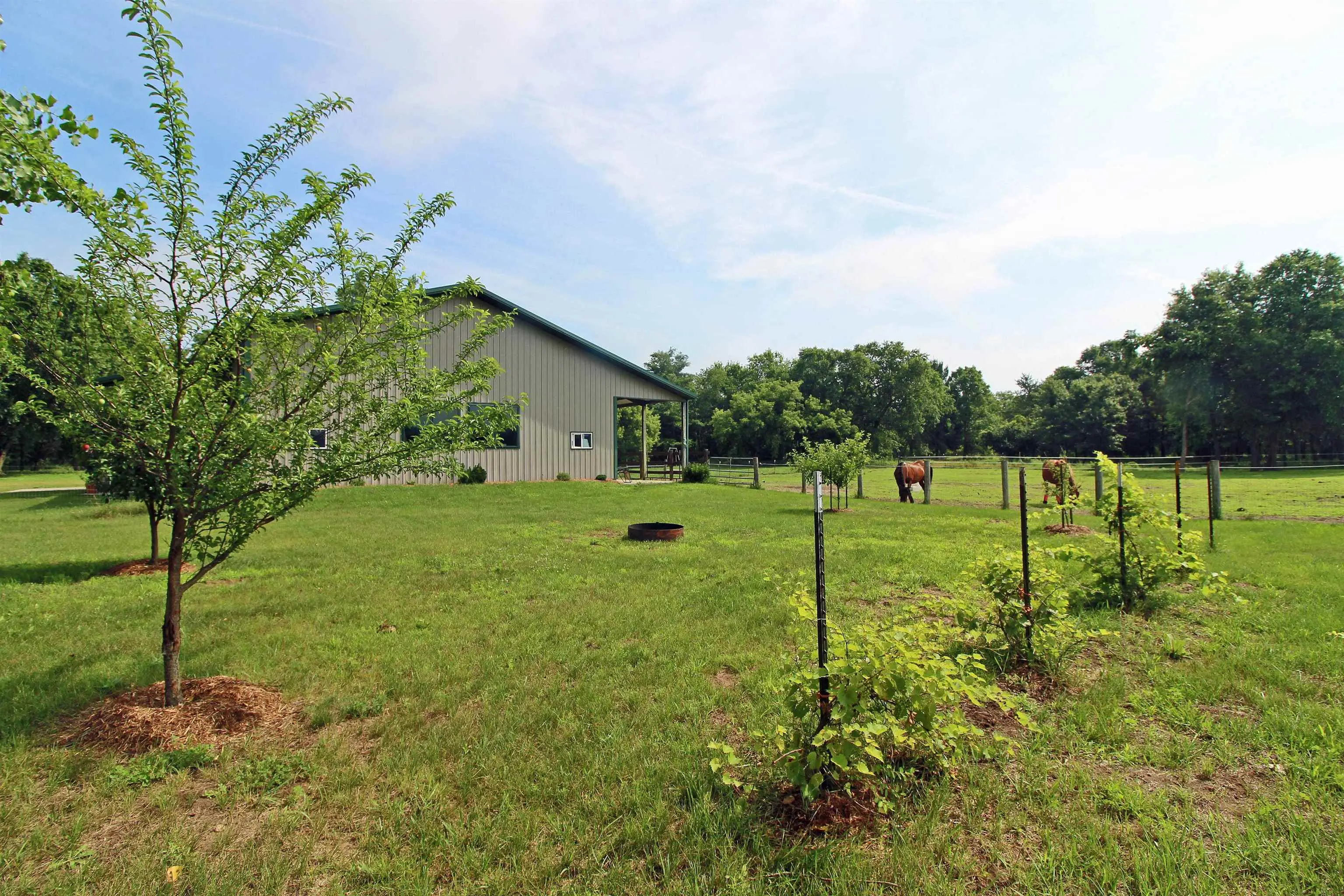 Photo of Listing #2008924