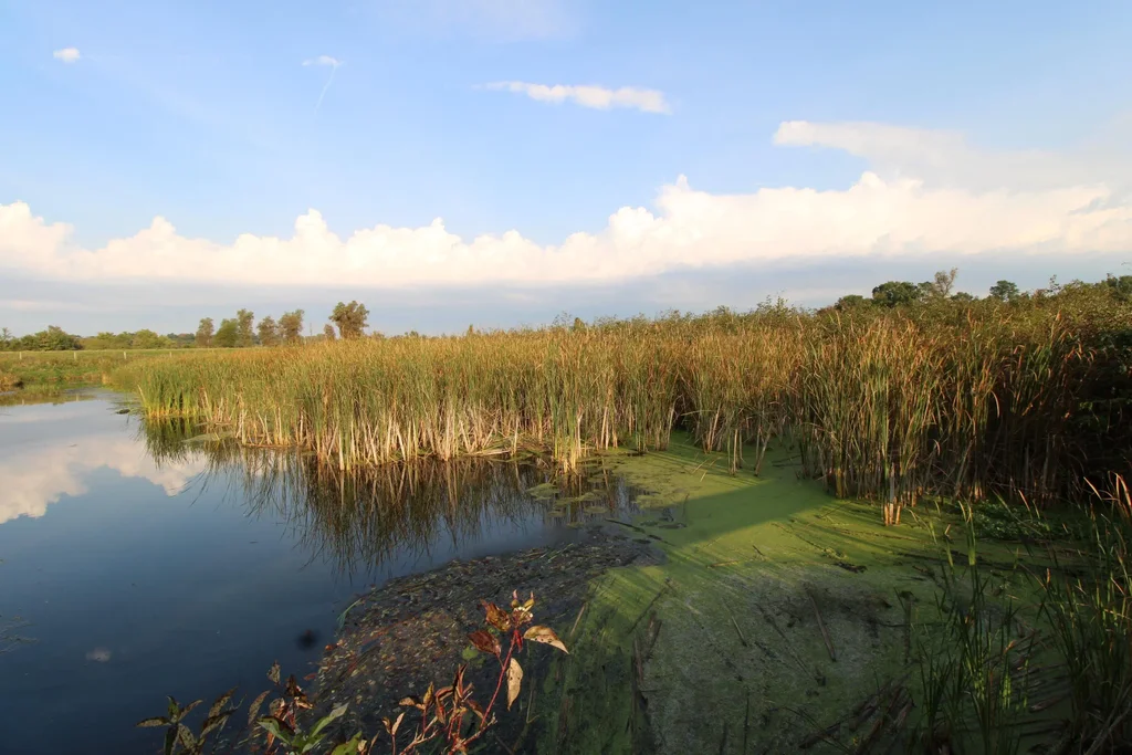 14.89 Ac 7th Drive, Packwaukee