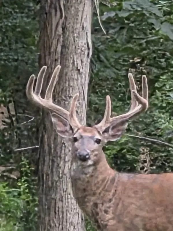 N8720 County Cx Road, Fort Winnebago