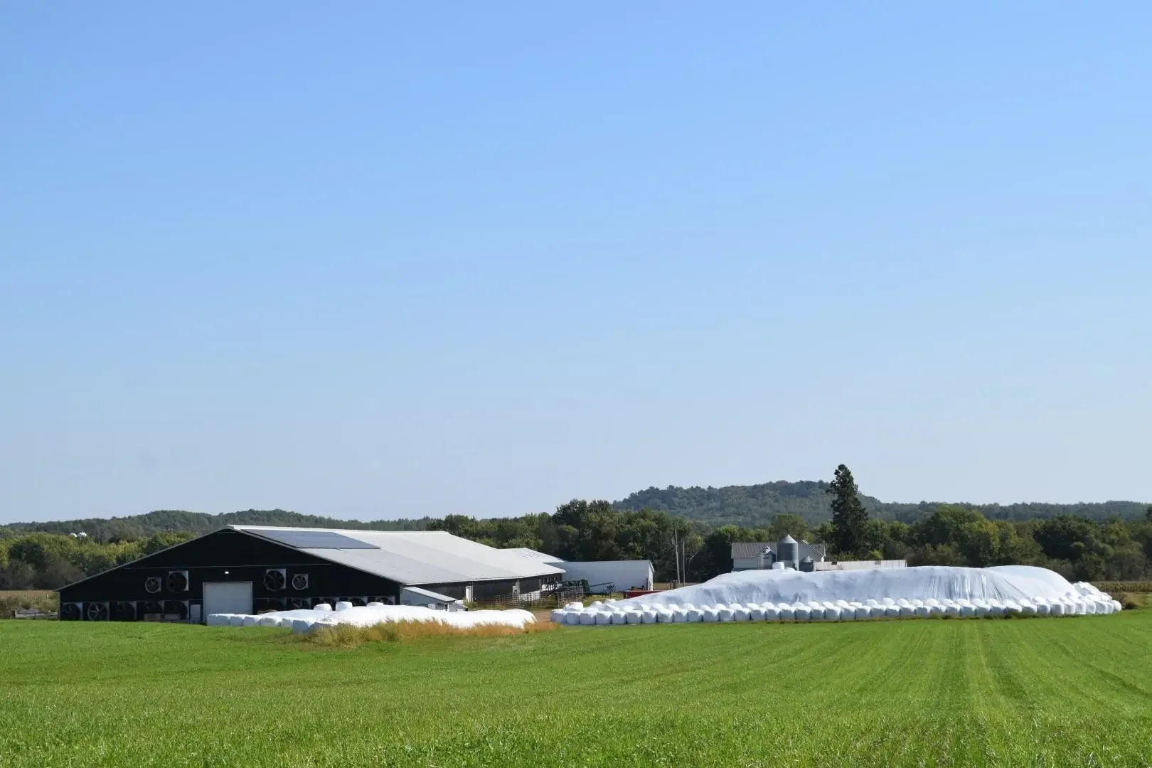 Photo of Listing #2009764