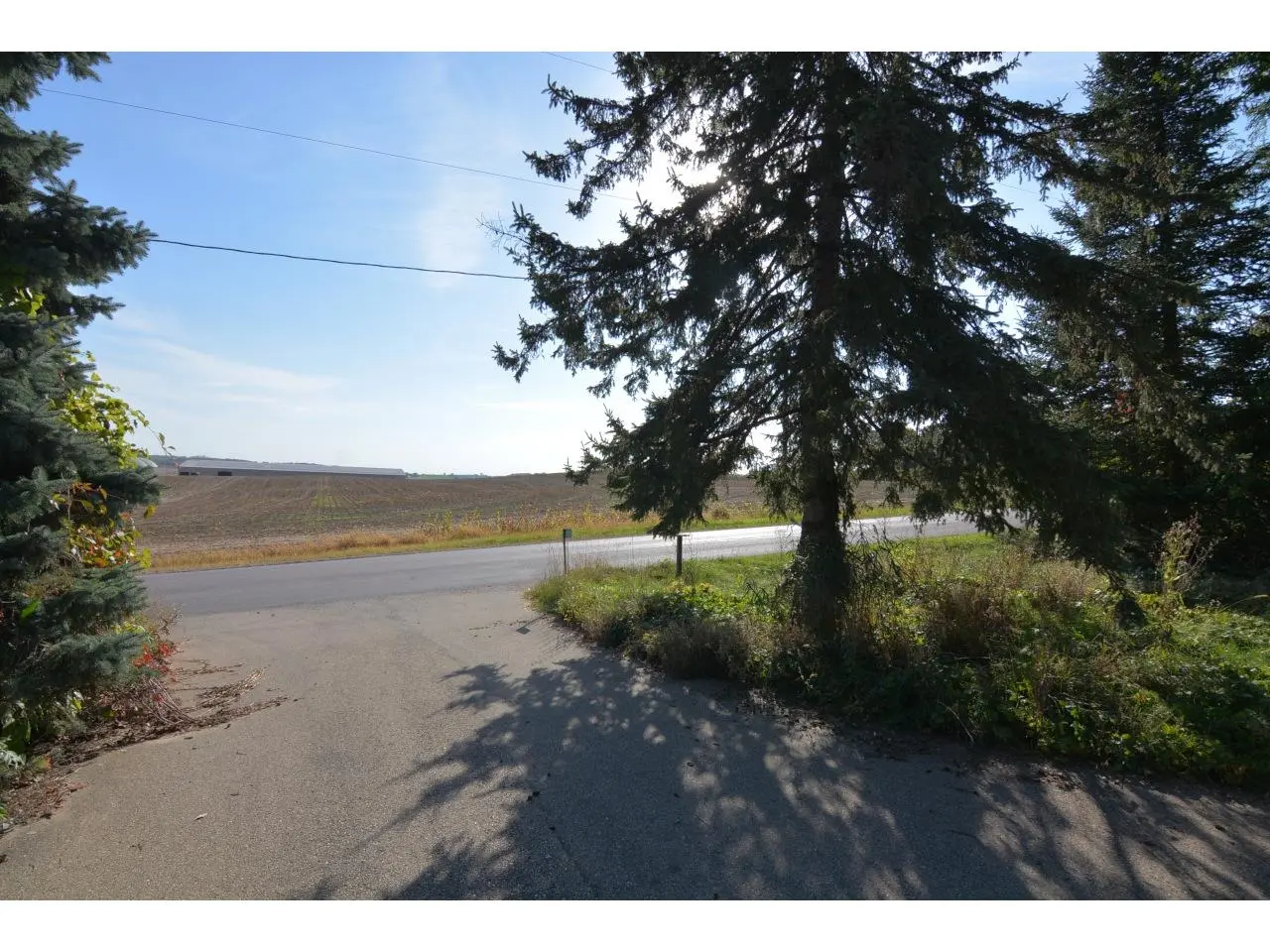 Photo of Listing #2009928