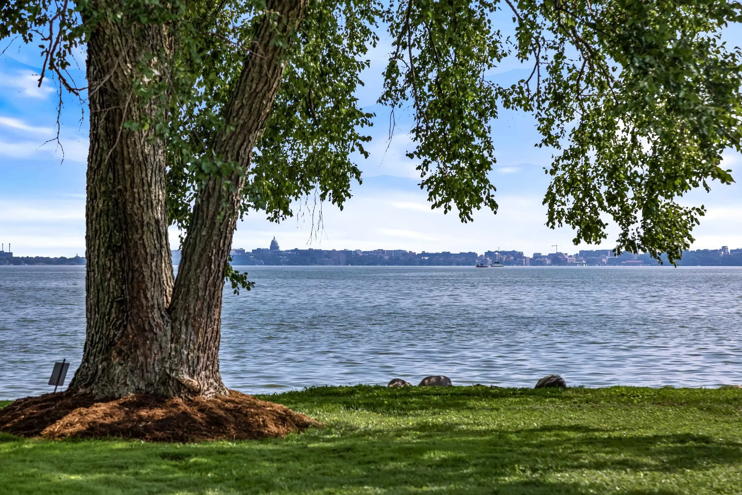 Photo of Listing #2010068