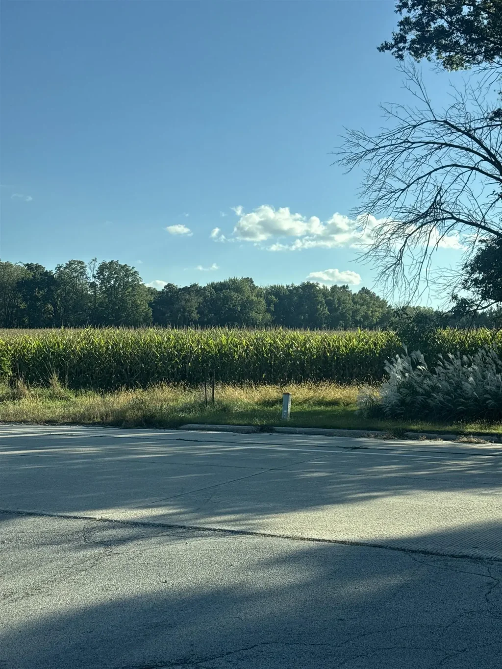 158 Acre Hwy 33, Trenton