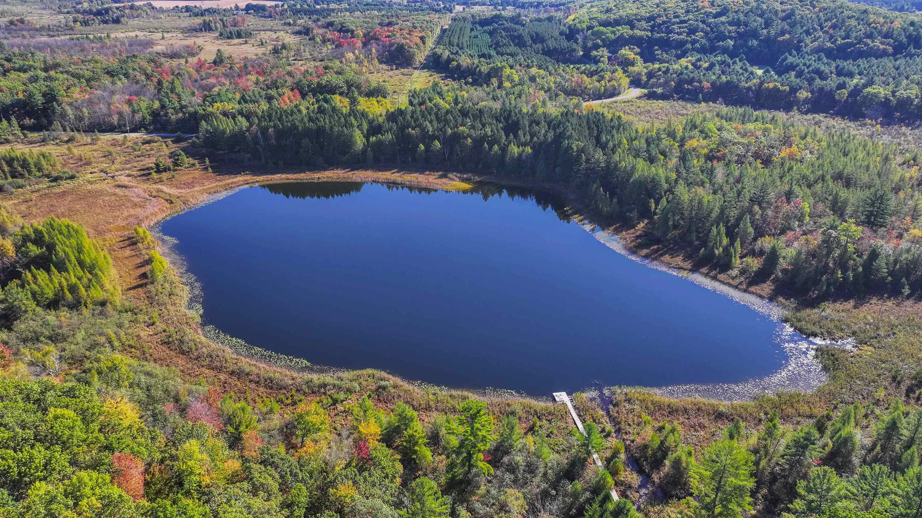 Photo of Listing #2010908