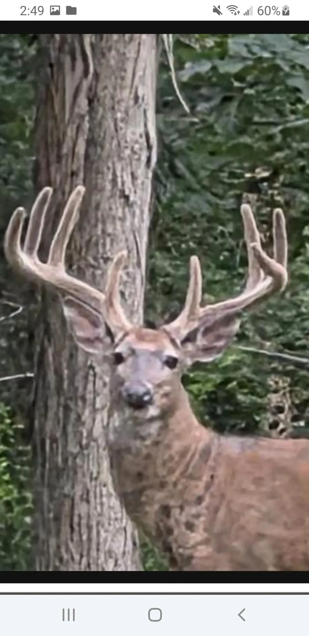 N8720 County Cx Road, Fort Winnebago