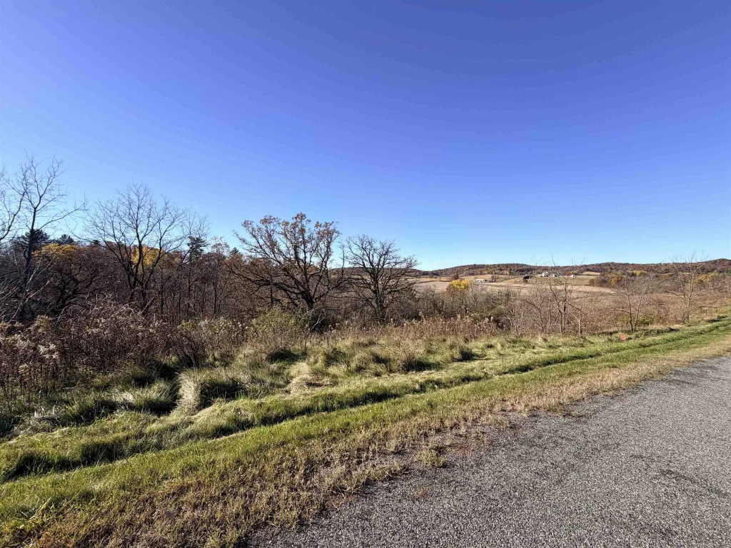 Lots 9 & 10 Honeycut Avenue, Tomah