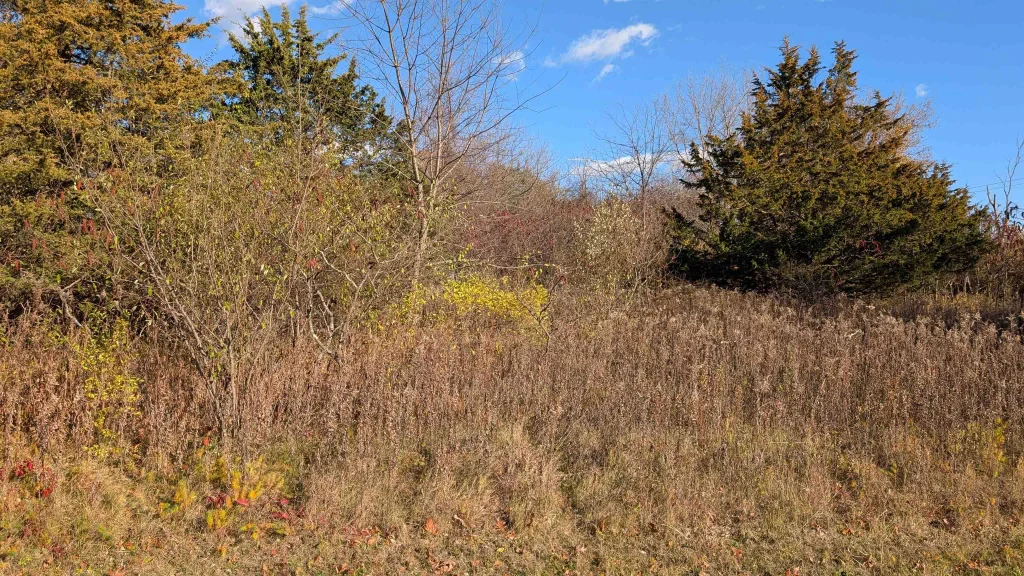 L18 Oak Road, Marquette