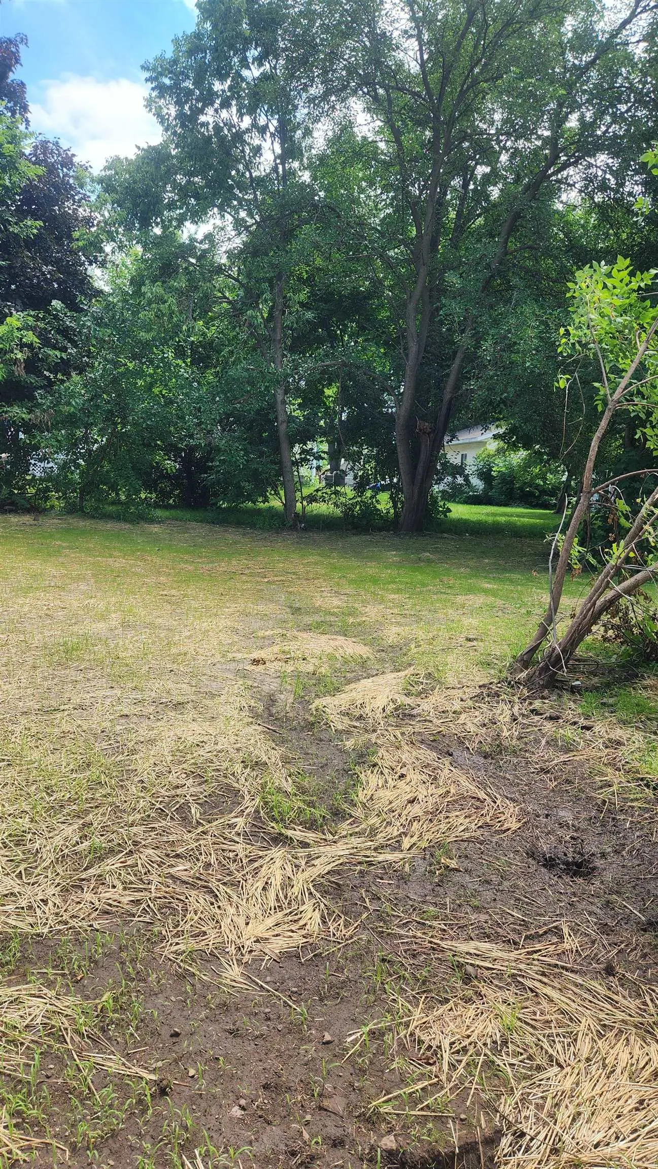 Photo of Listing #2012455