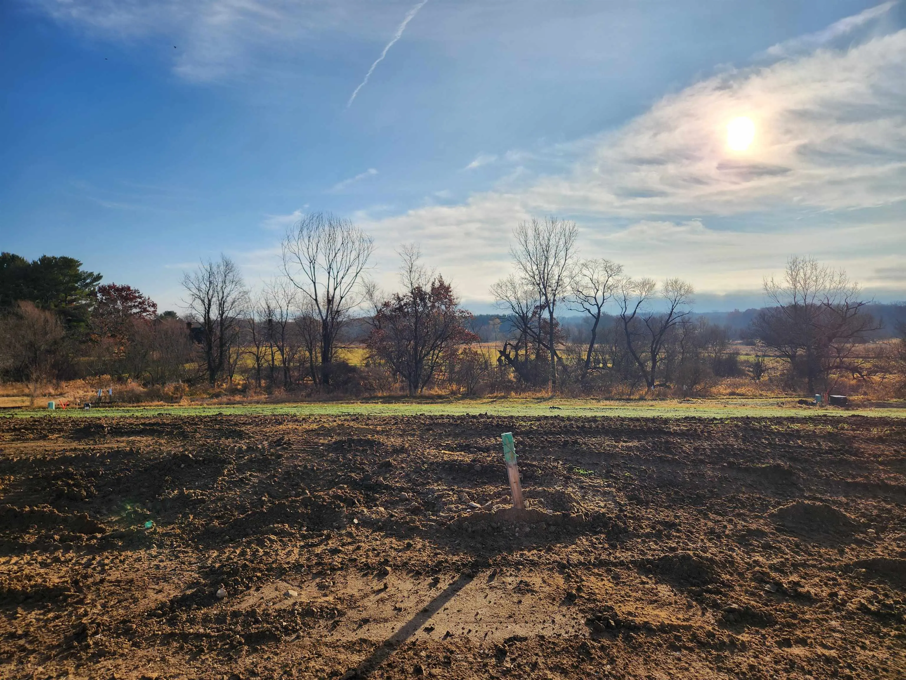 Photo of Listing #2012811