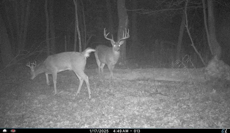 N8510 Fish Road, Clearfield