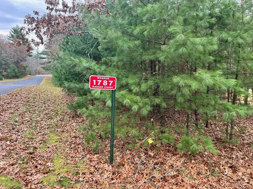 1787 Badger Court, Monroe