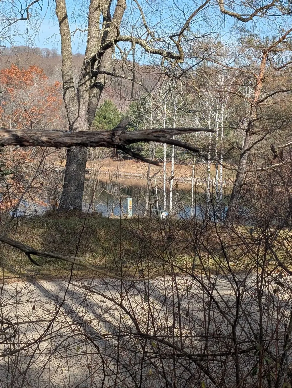 L221 Black Forest Drive, Woodland