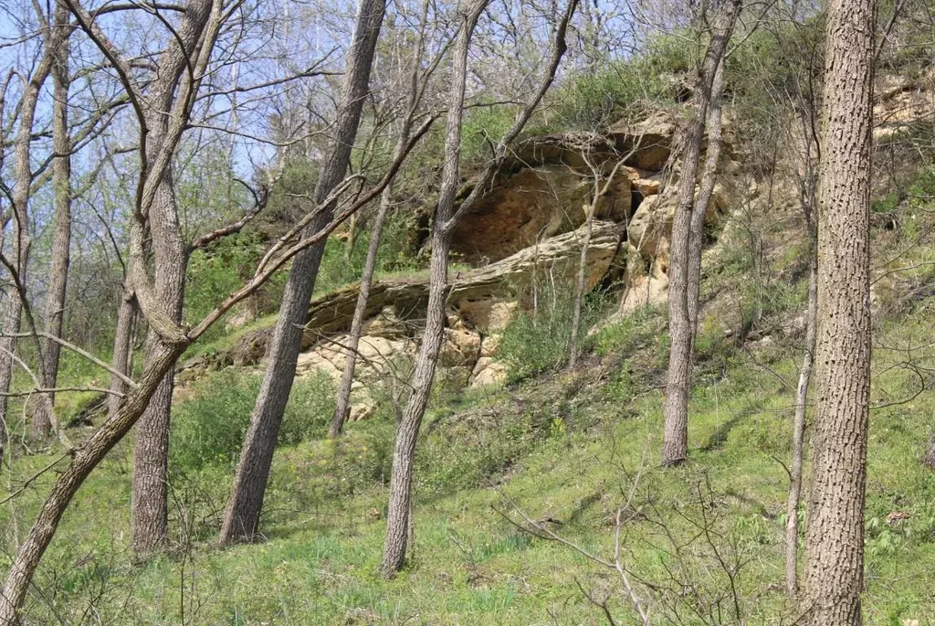 138 Peerless Road, Primrose