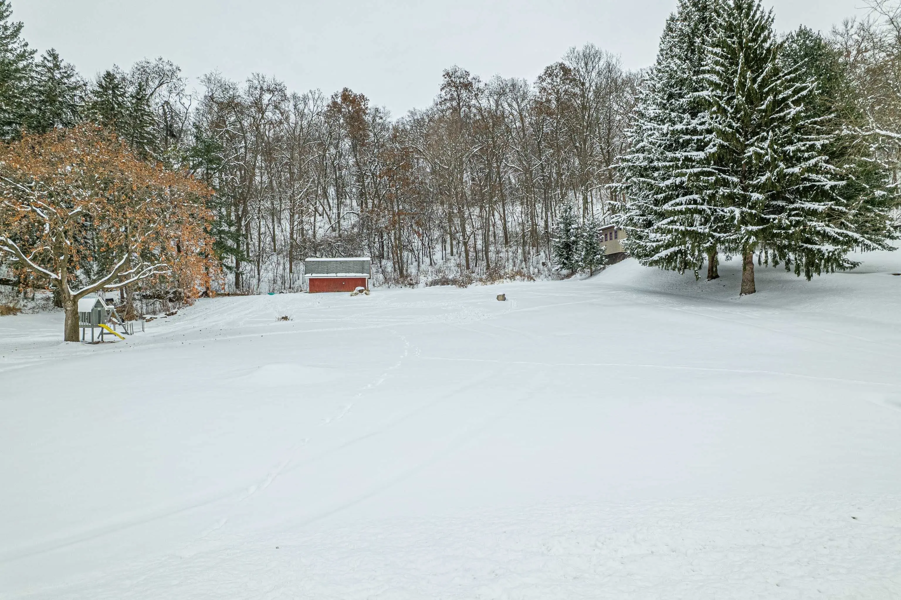 Photo of Listing #2013278