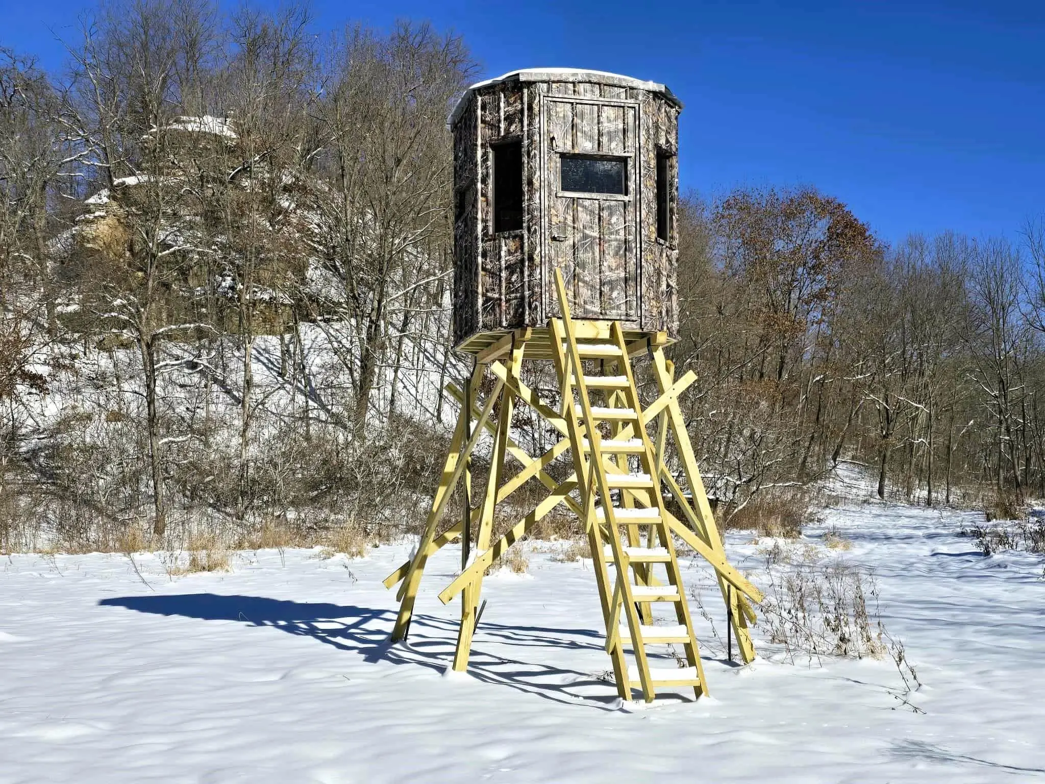 Photo of Listing #2013463