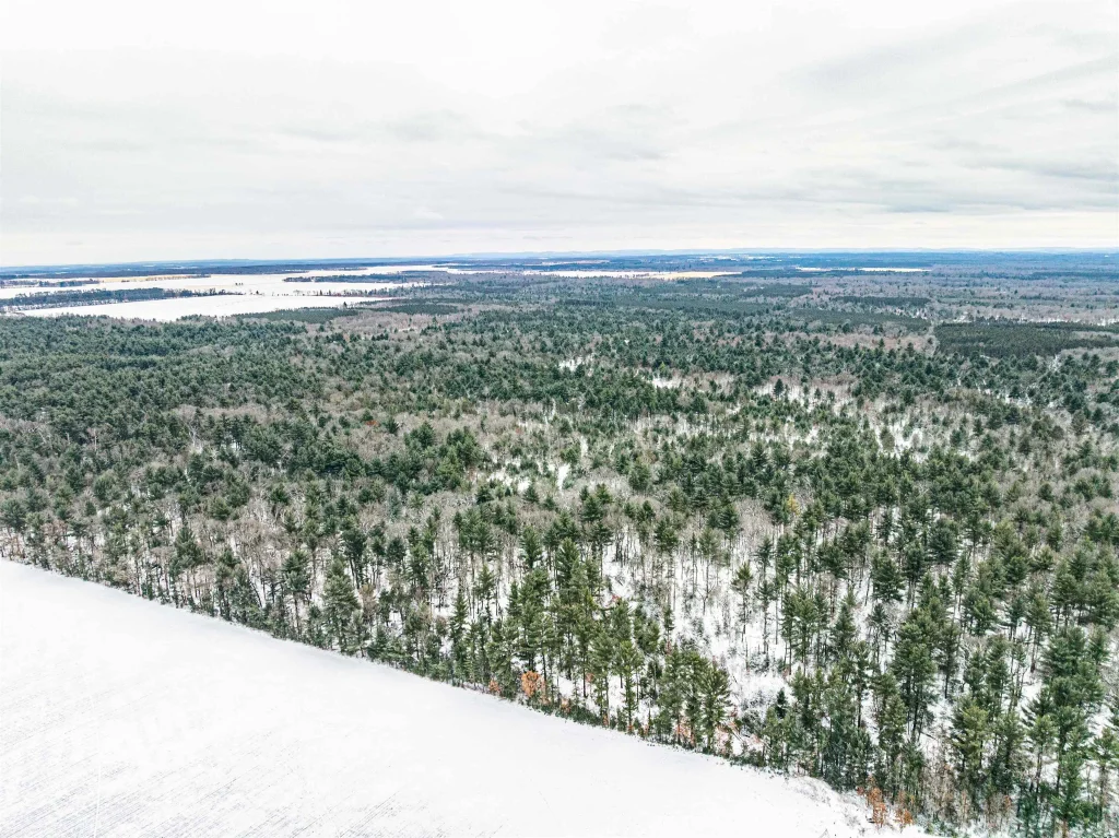 37.5ac Freedom Avenue, Springville