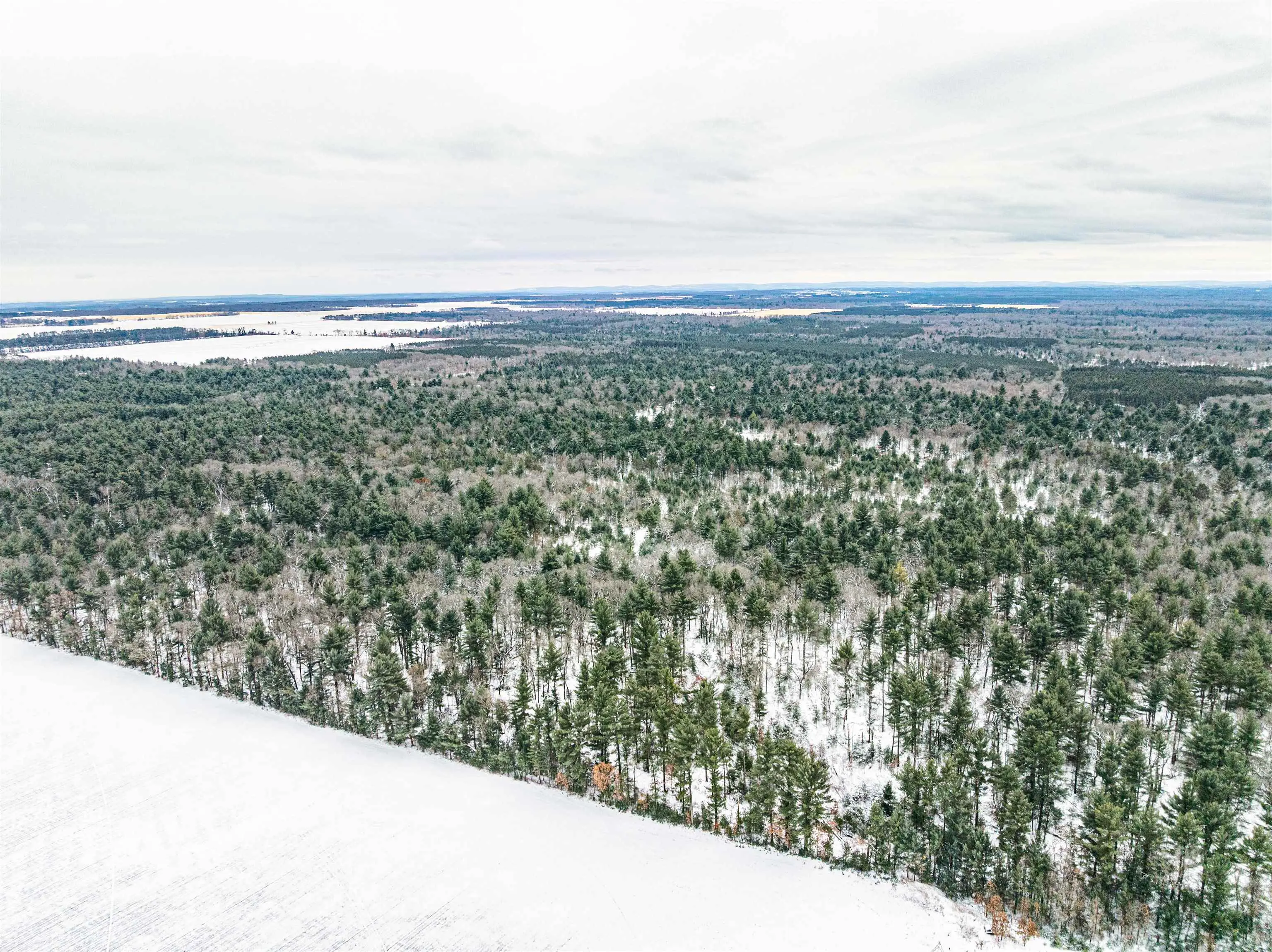 Photo of Listing #2014381