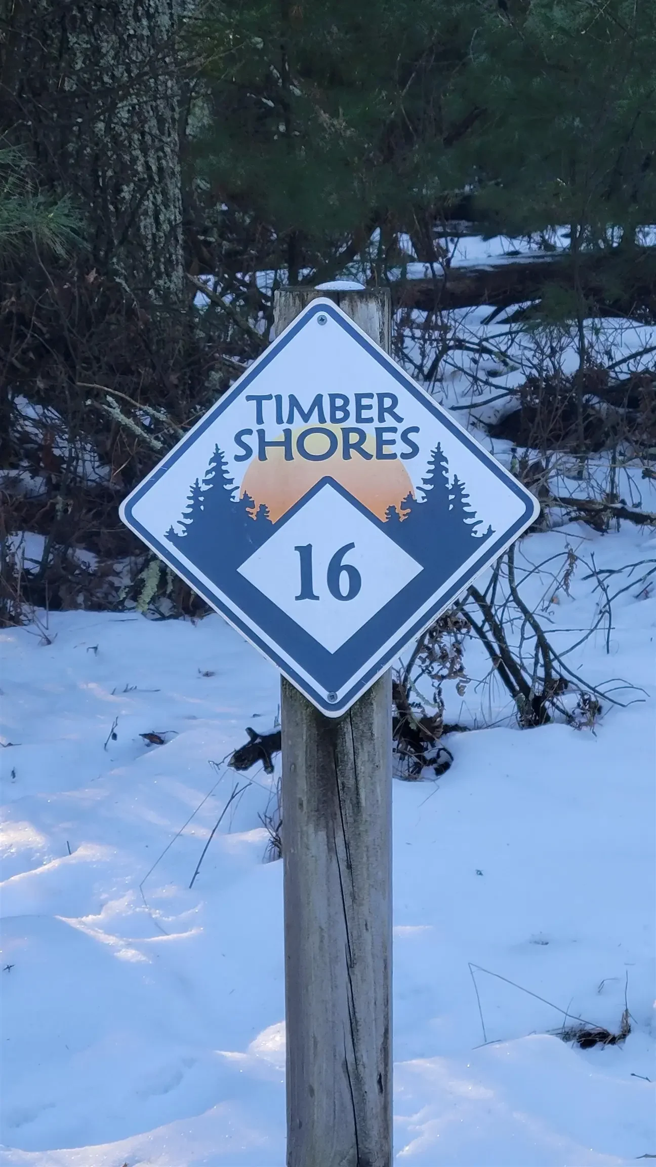 Photo of Listing #2014827