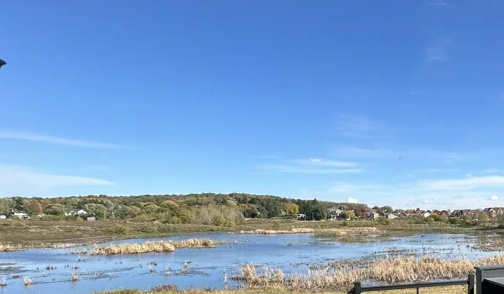 Photo of Listing #2015336